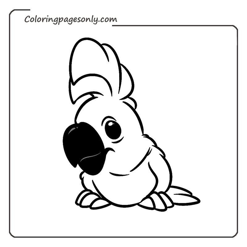 Parrot Coloring Pages - Coloring Pages For Kids And Adults