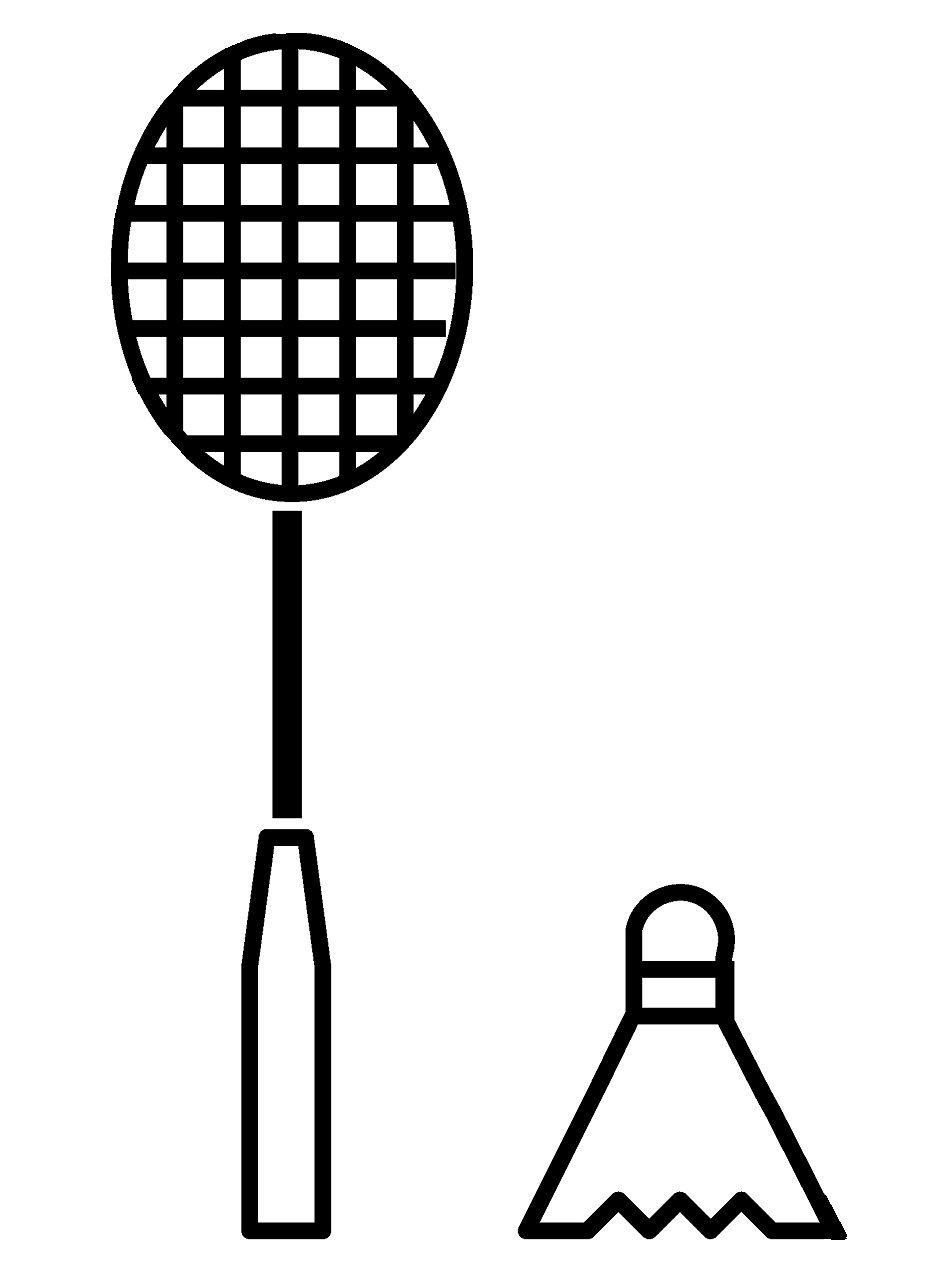 Raquete de badminton com passarinho de Badminton