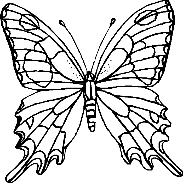 Wunderschöner Schmetterling für Kinder von Butterfly