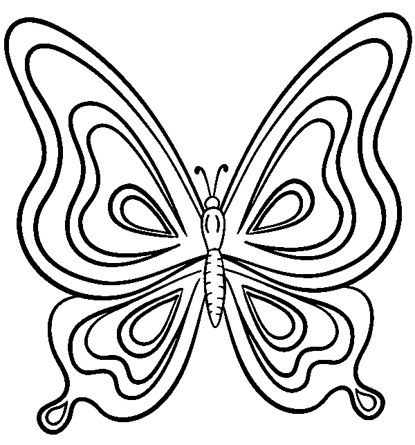 Grote vlinder van Butterfly