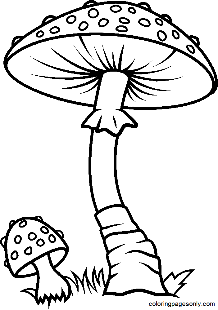 Раскраска Большой гриб и Маленький гриб