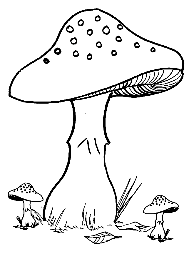 Pagina da colorare di un grande fungo e due piccoli funghi