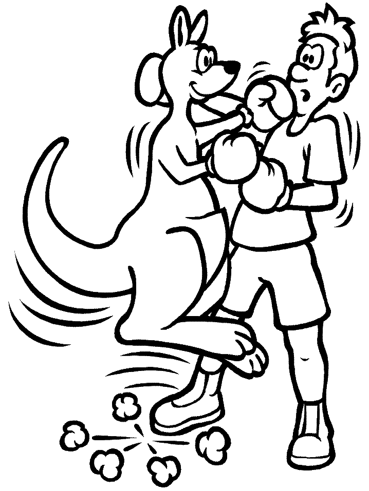 Боксерский поединок между мальчиком и кенгуру из бокса