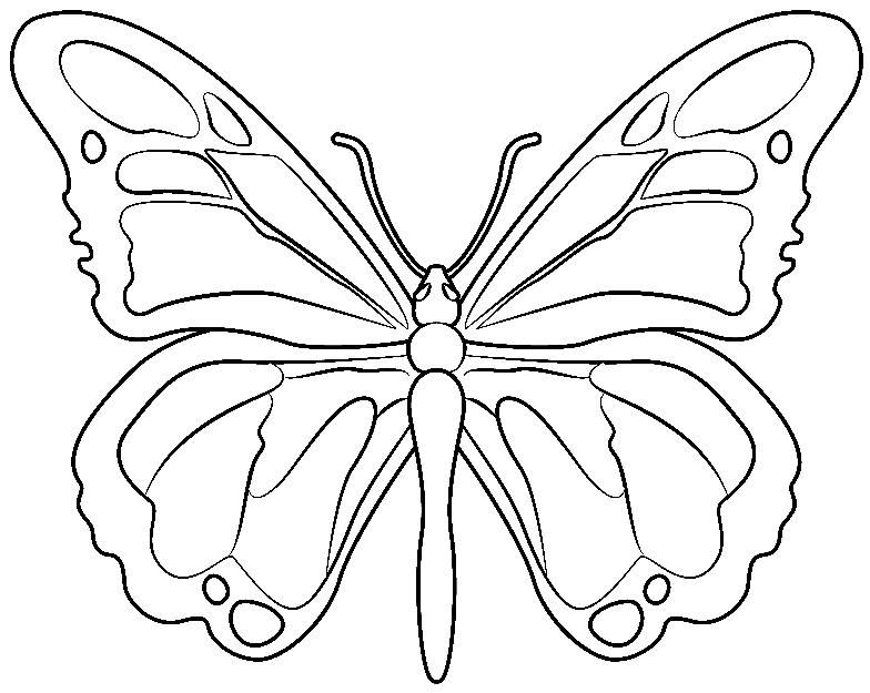 Butterfly Printable Free Coloring Page