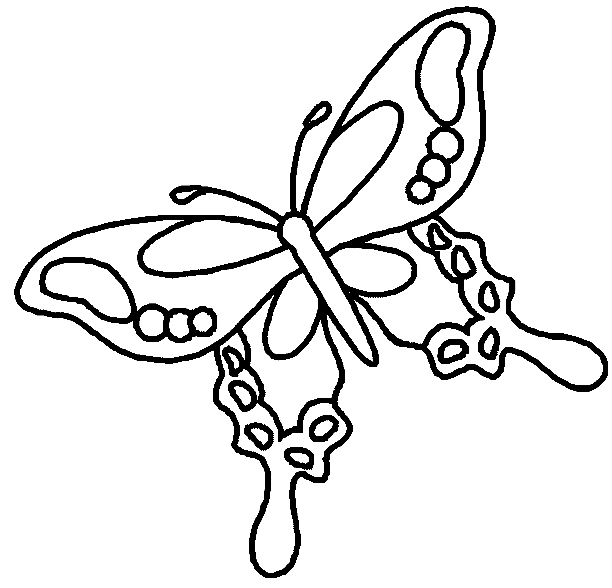 Butterfly Printable Coloring Pages