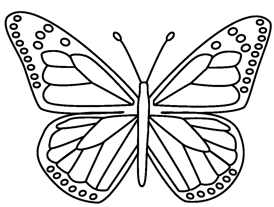 Mariposa para niños de Butterfly