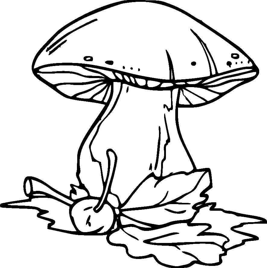 Lindo hongo para niños de Mushroom