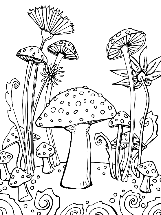 Cogumelos Fofos de Cogumelo