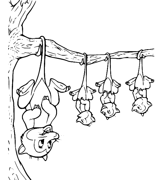 Cute Opossum Family Coloring Page