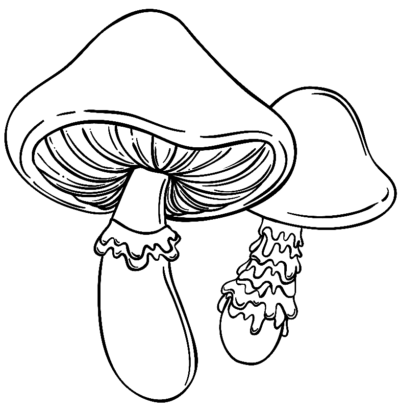 Cute Two Mushrooms Coloring Page