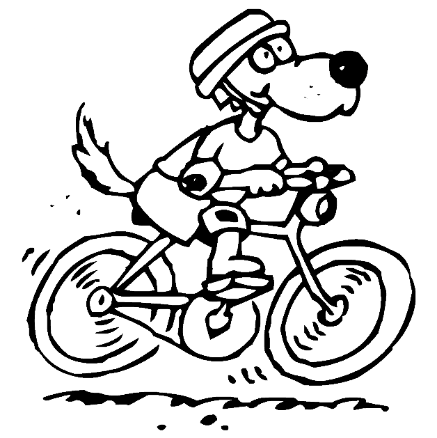 كلب ركوب الدراجات من ركوب الدراجات