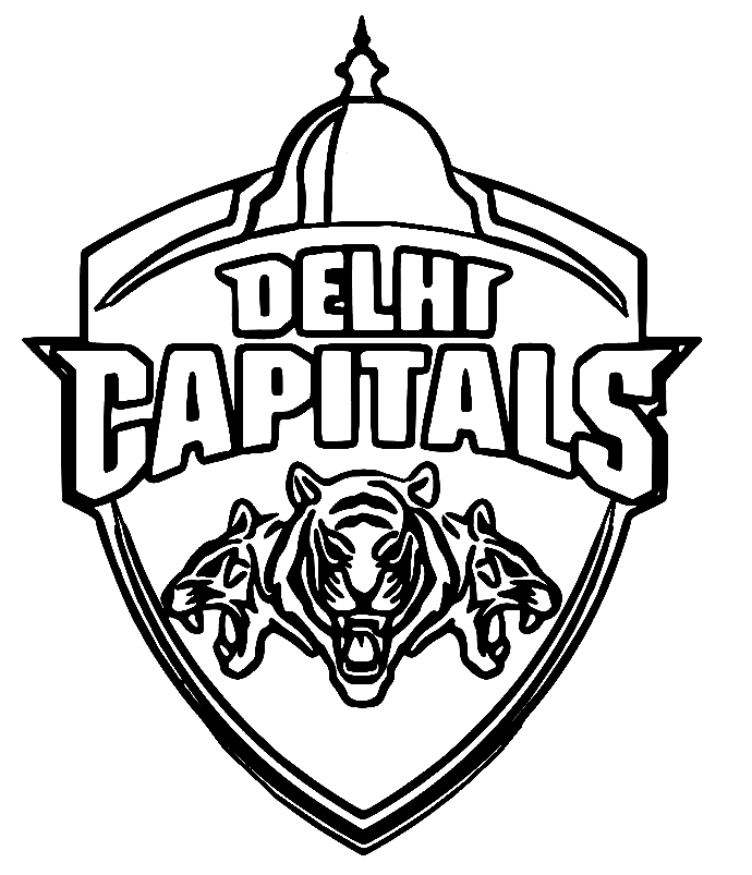 Equipo Delhi Capitals del juego de críquet