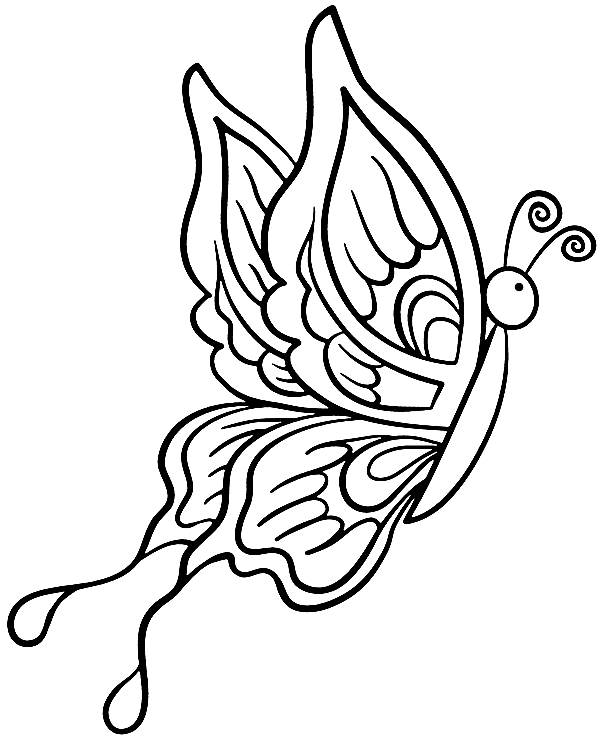 Fancy Butterfly Coloring Pages