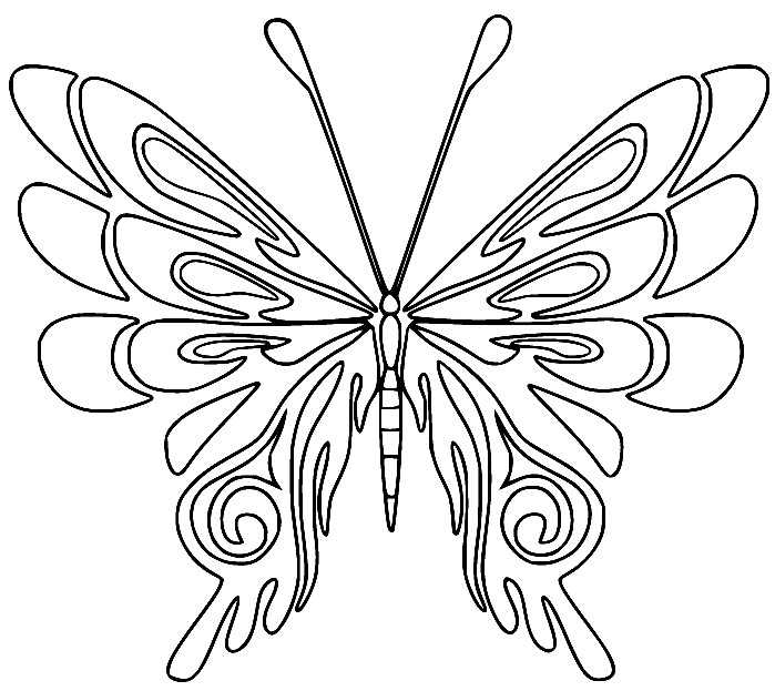 Fascinating Butterfly Coloring Page