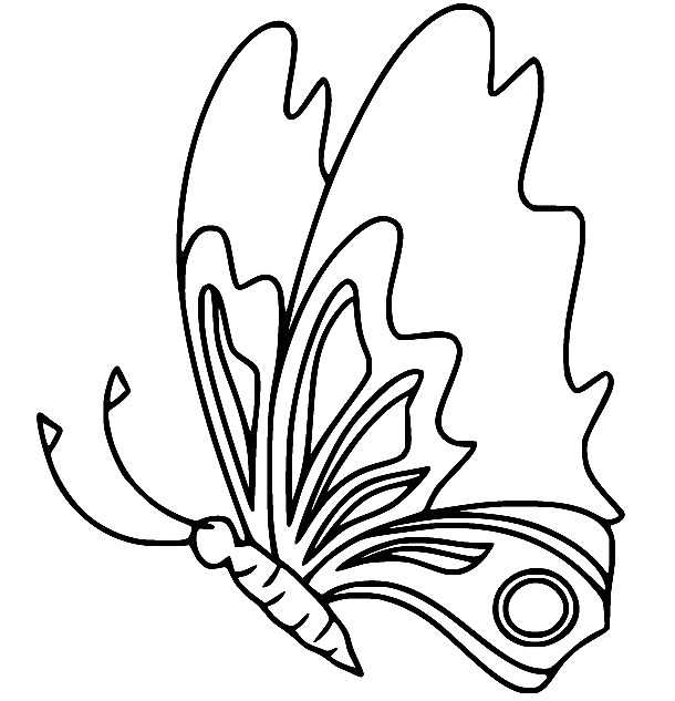 Flying Little Butterfly Coloring Page