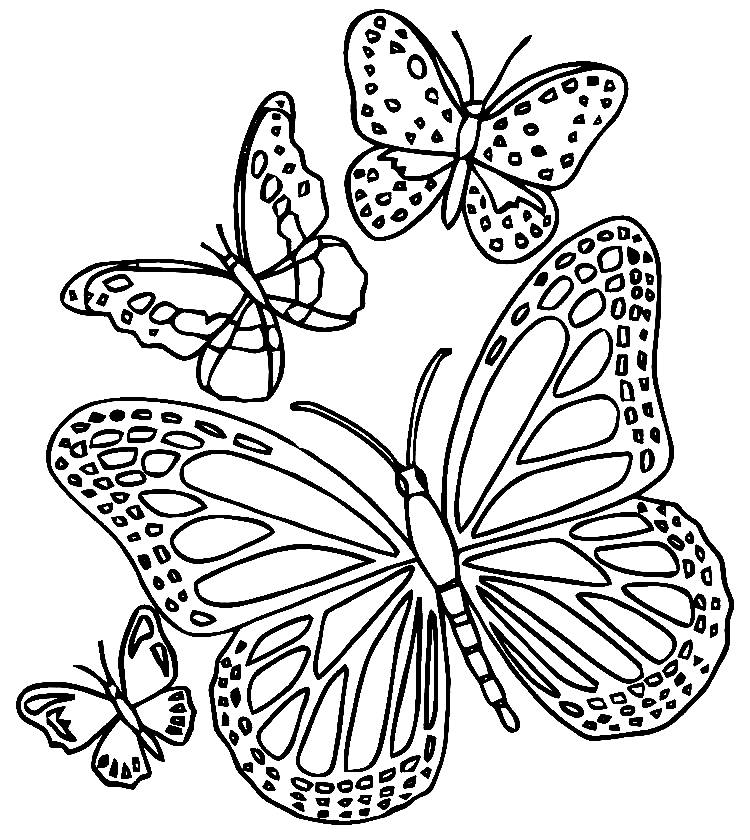 Four Lovely Butterflies Coloring Page