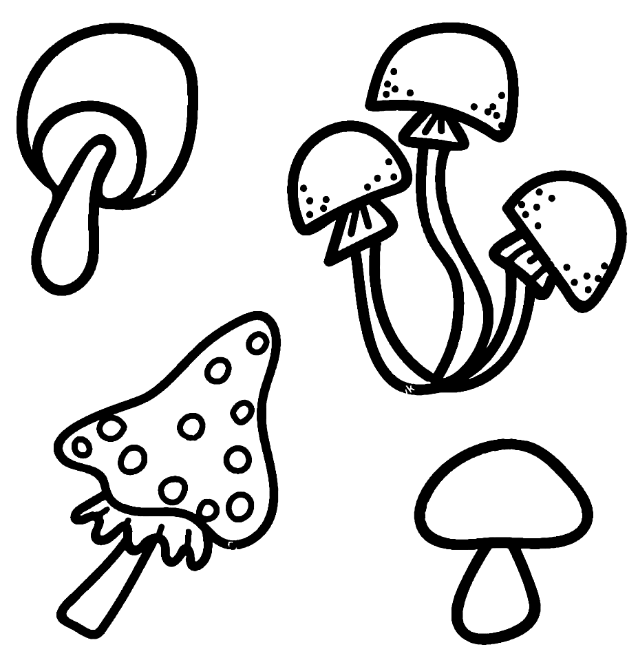 Four Mushrooms Coloring Page