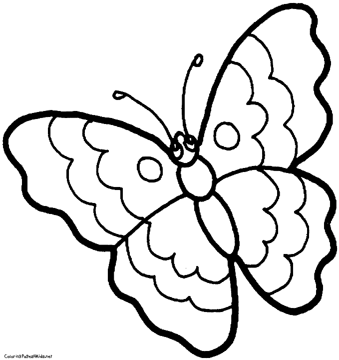 Free Butterfly Sheets Coloring Page