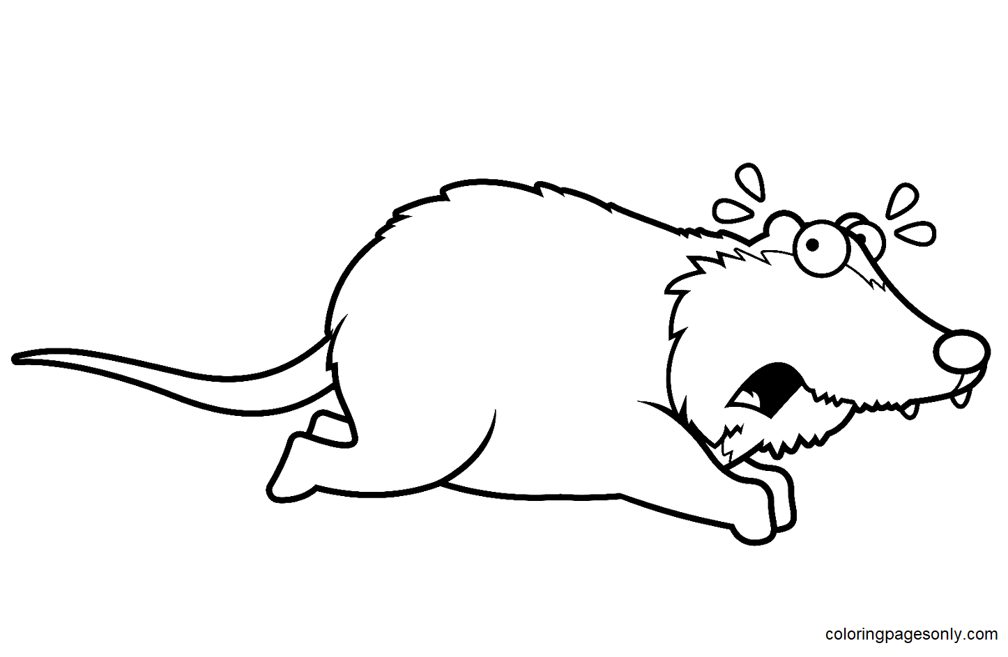 Funny Cartoon Opossum Coloring Page
