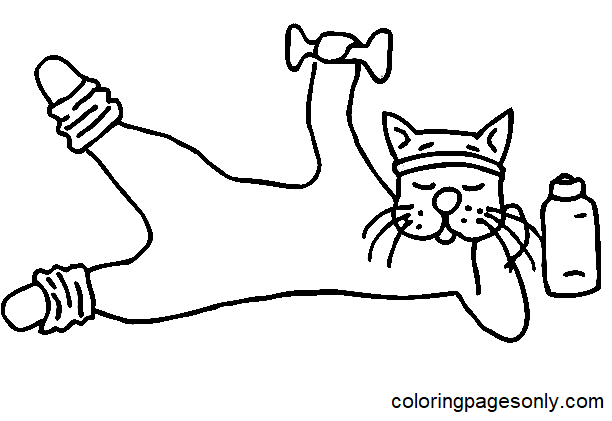 Página para colorear de aerobic de gato divertido