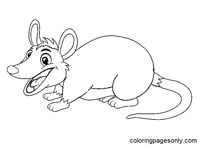 Happy Opossum Coloring Page