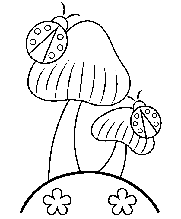 蘑菇中的瓢虫和蘑菇