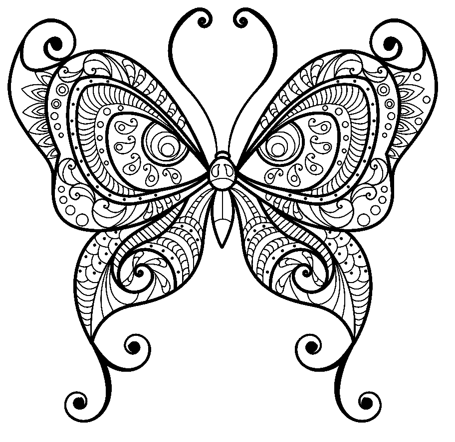 Schönes Schmetterlings-Zentangle von Butterfly
