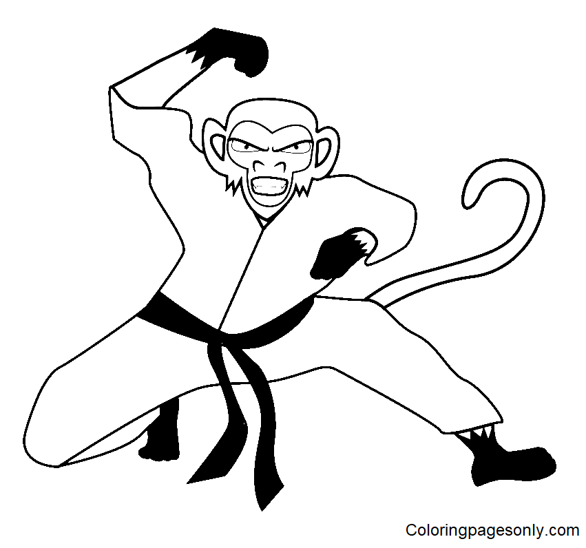 武术猴子来自武术