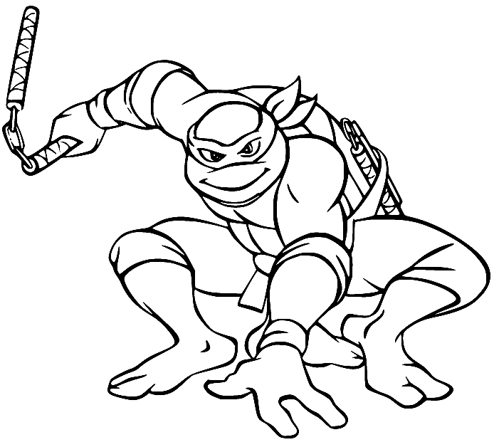 Tortue Ninja Michel-Ange de Ninja Turtles