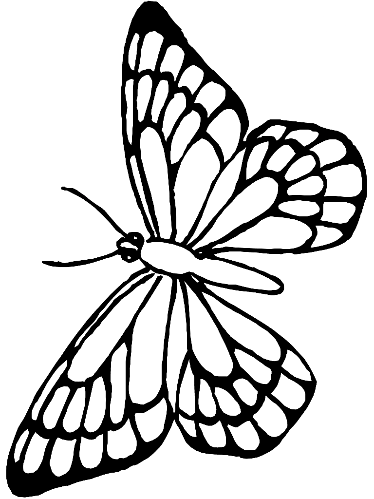 Papillon monarque de Butterfly