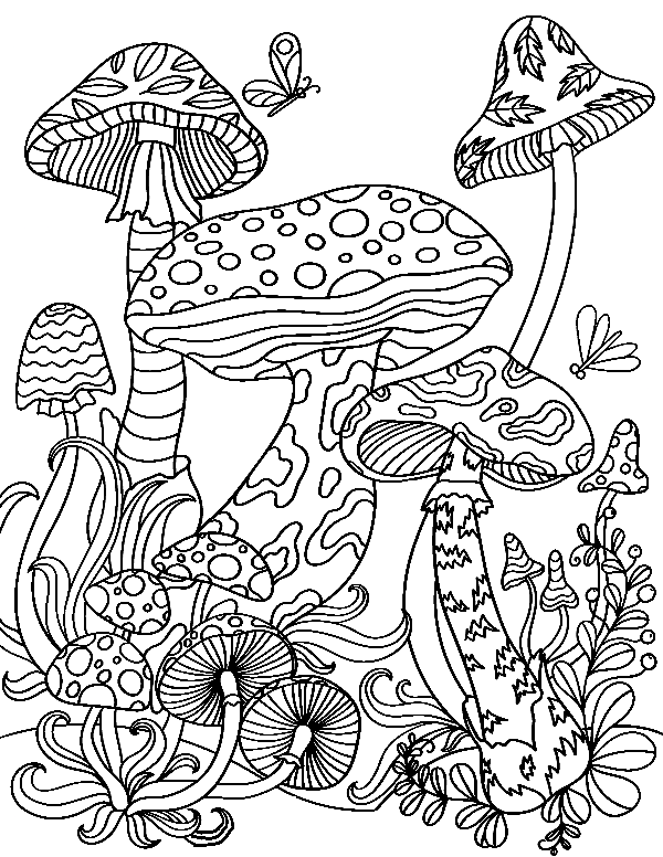 Mushroom Garden from Mushroom