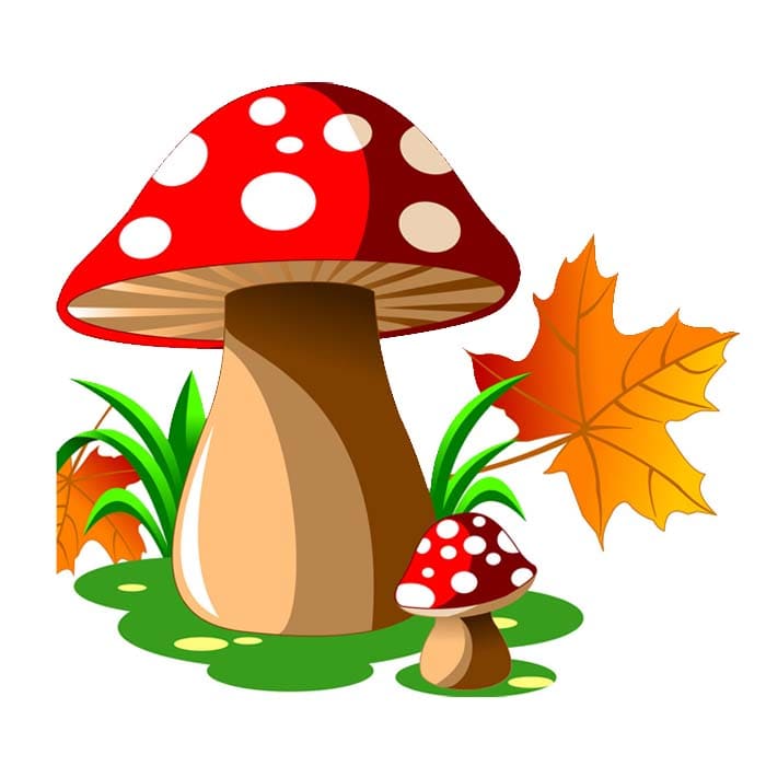 Lustige Ausmalbilder von Lisa Frank und Mushroom zum Ausdrucken