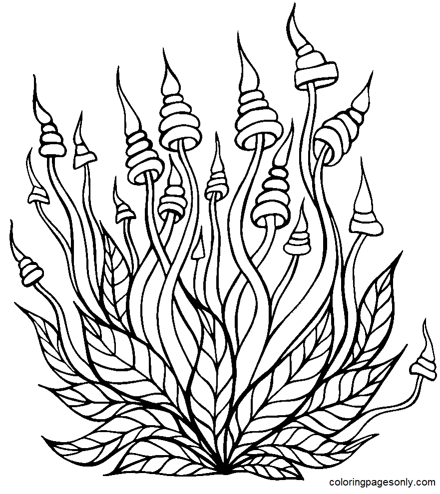 Mushrooms Decorative Coloring Pages