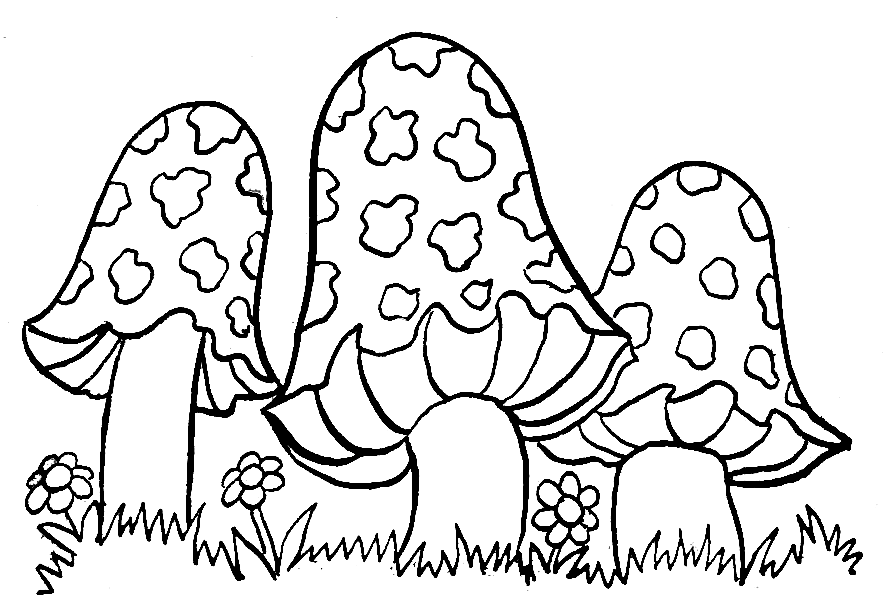 Mushrooms Printable Coloring Page