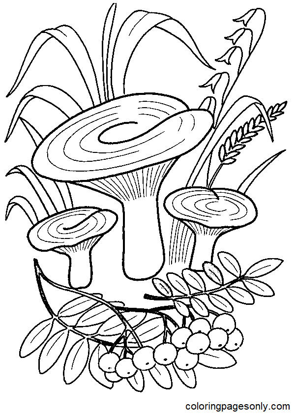 Mushrooms and Blueberries Coloring Page