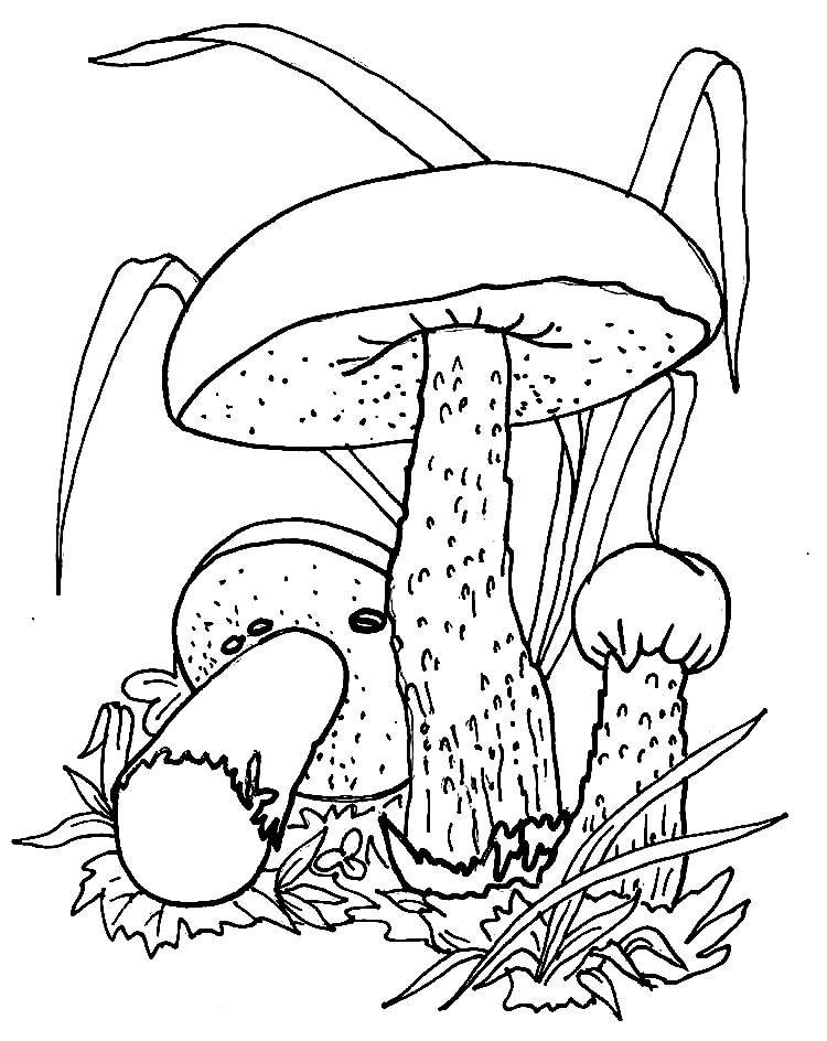 Mushrooms for Children Coloring Page