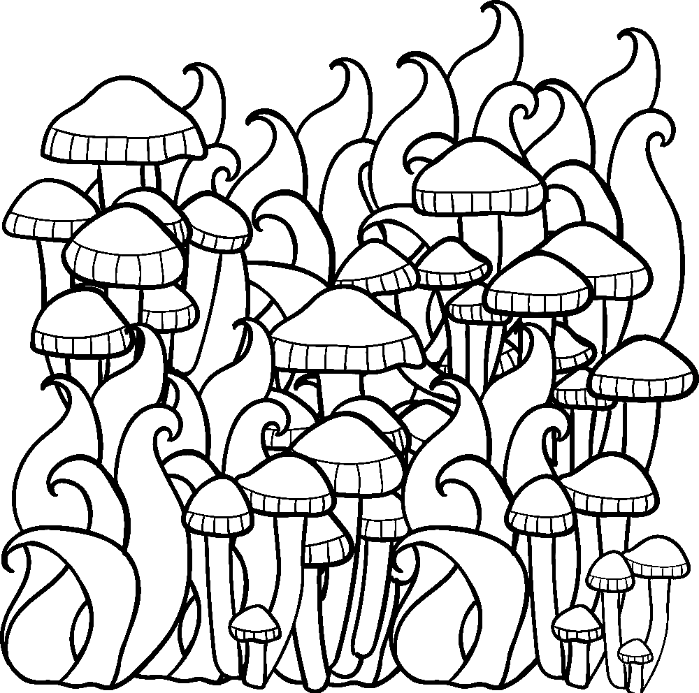 Hongos en el bosque de Mushroom.