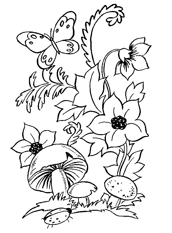 Раскраска Грибы с цветами