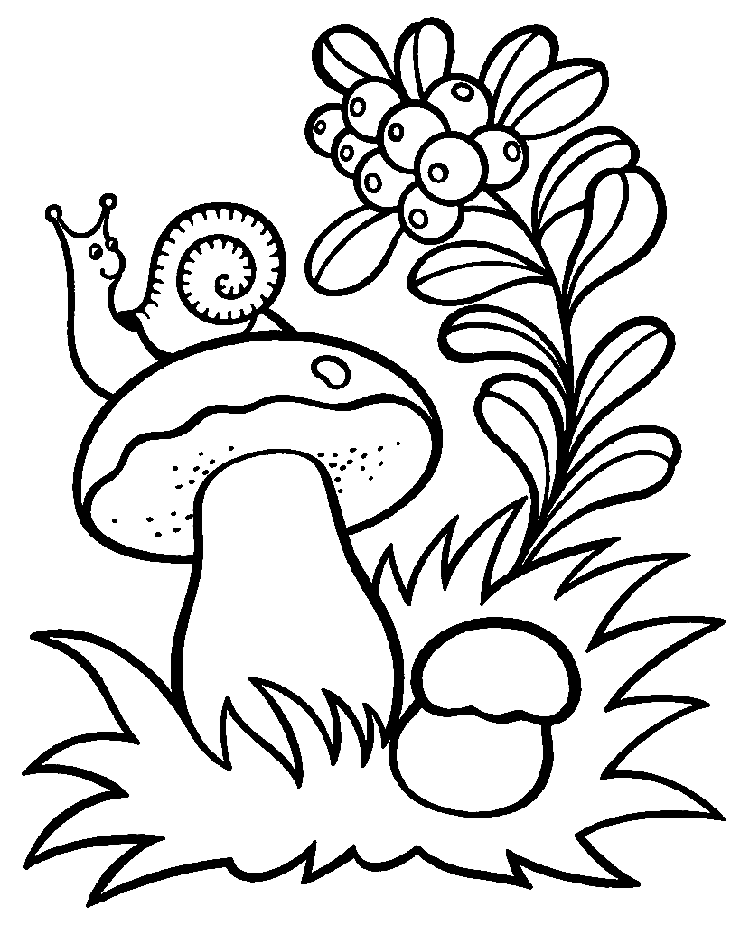 Mushrooms with Snail Coloring Page