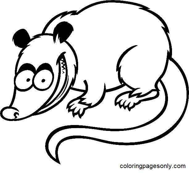 Opossum Free Printable Coloring Page