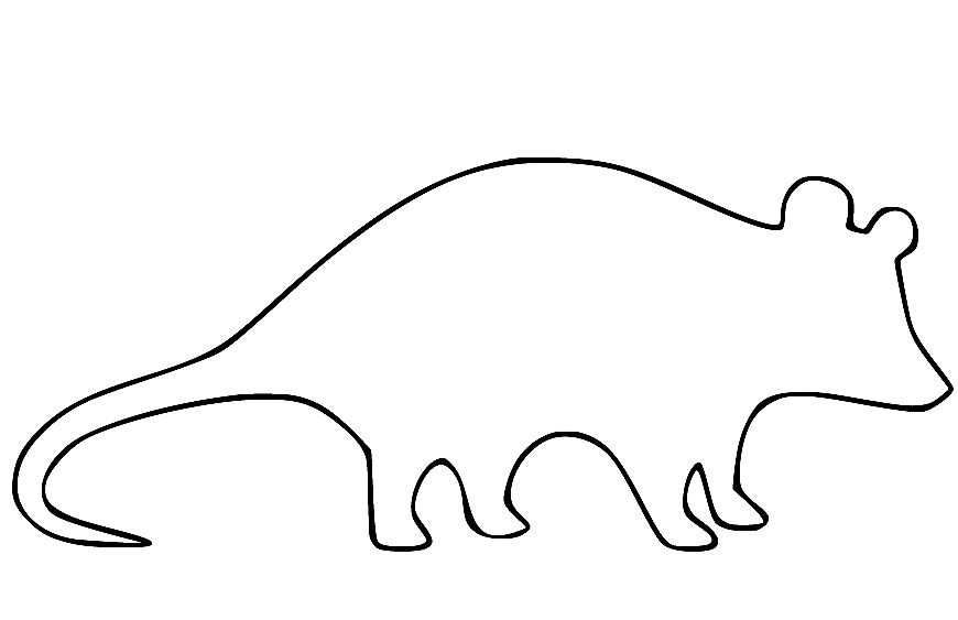 Opossum Outline Coloring Page
