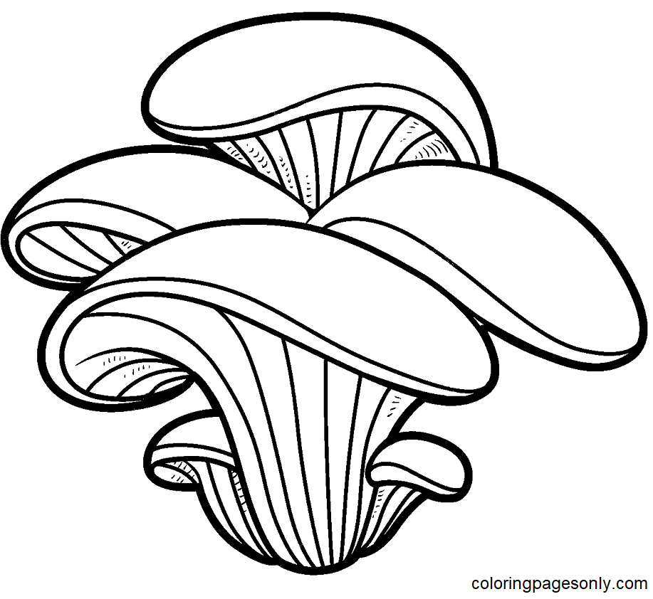 Pagina da colorare di funghi ostrica