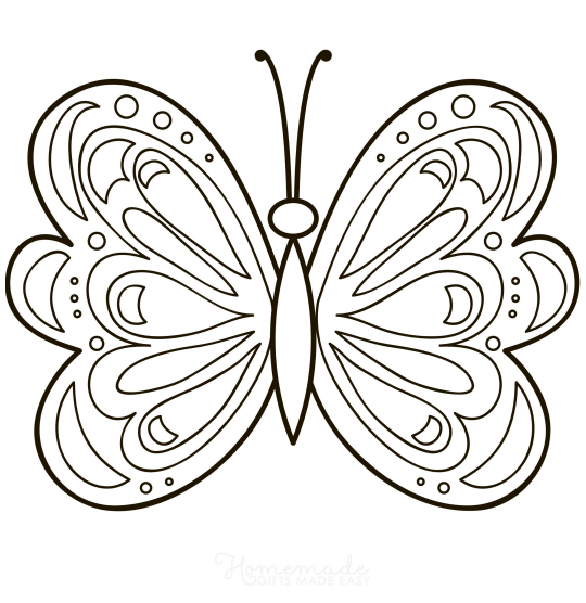 Patterned Butterfly Wings Coloring Page
