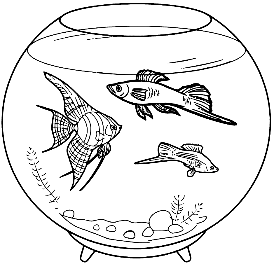 Pet Fish Coloring Page