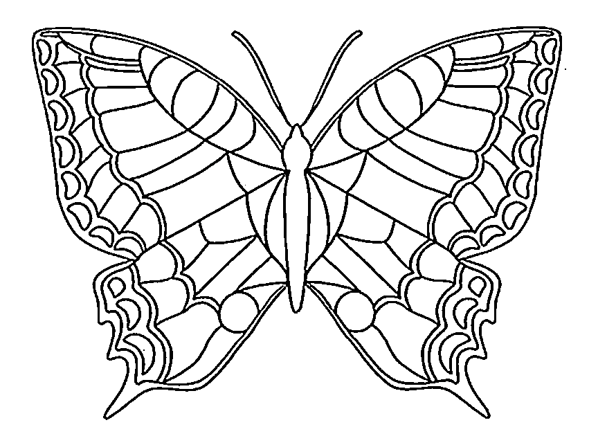 Pretty Butterfly For Kids Coloring Page