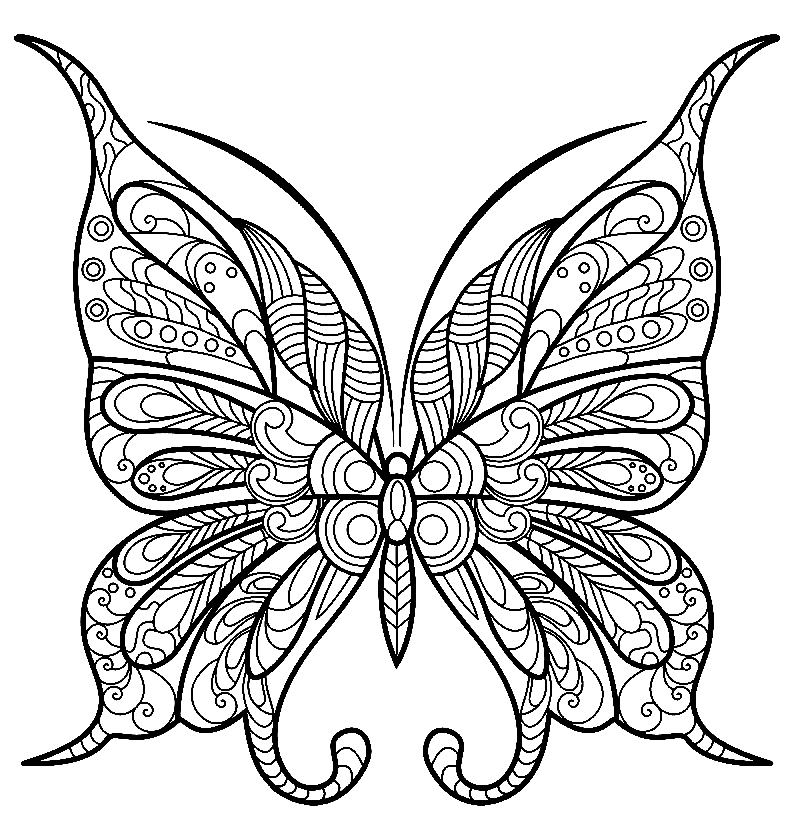 Hübsches Schmetterlings-Zentangle von Butterfly