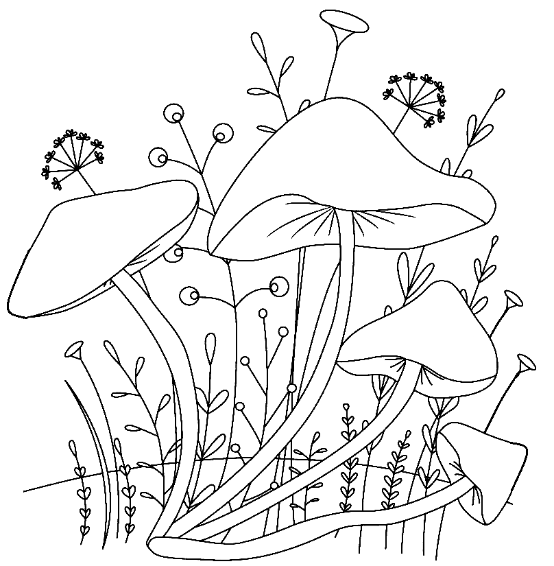 Pretty Mushrooms Coloring Pages