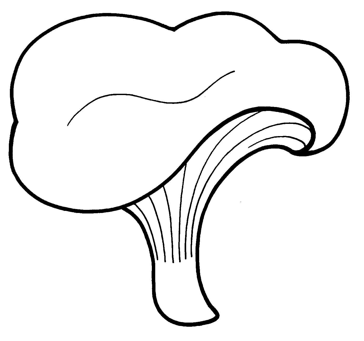 Простые грибы для детей раскраски