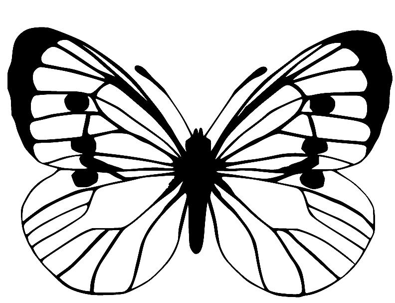 Sleepy Orange Butterfly Coloring Page