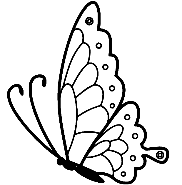 Superb Butterfly Coloring Page